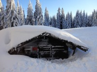 Arberhütte im Winter